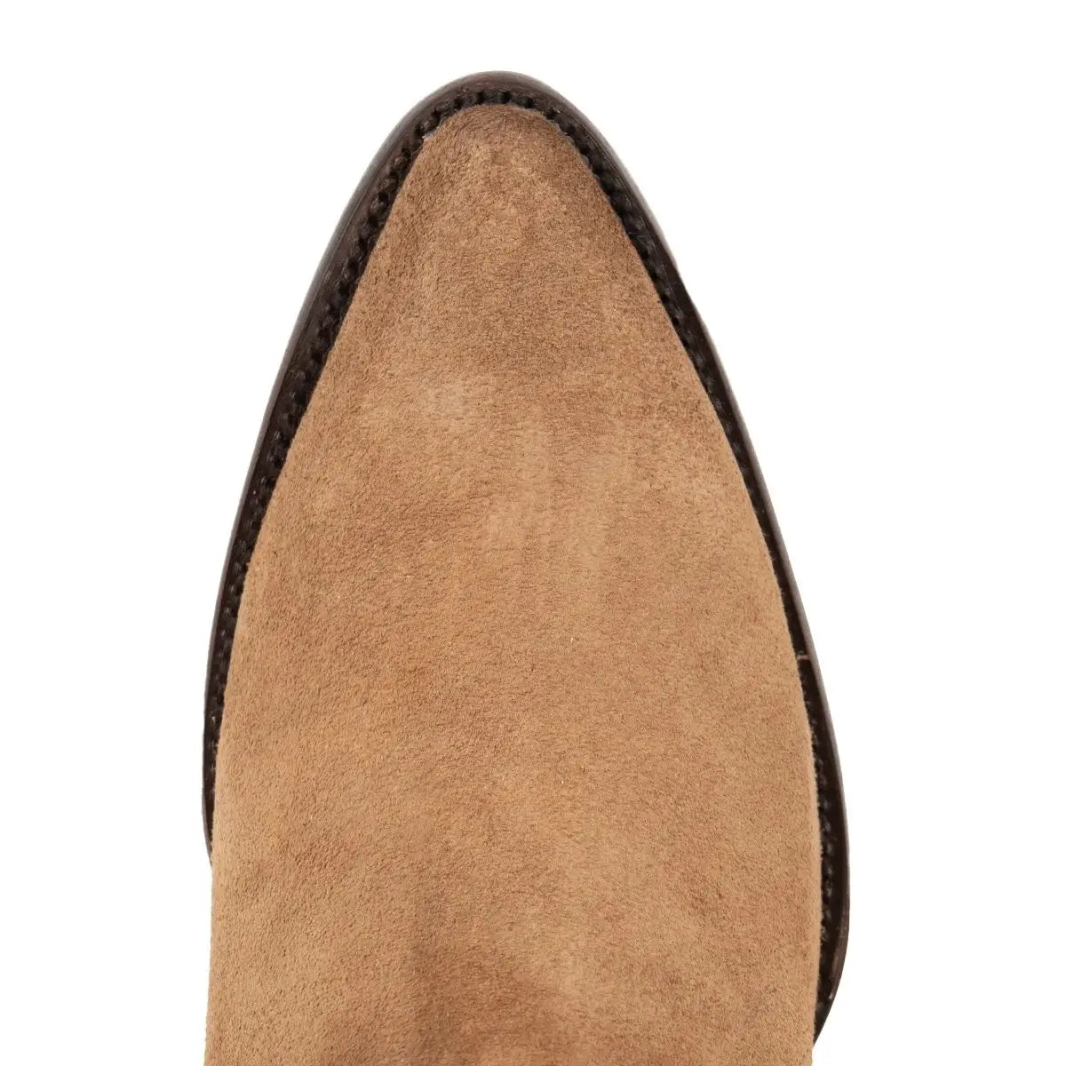 Bota Urbana Carlota
