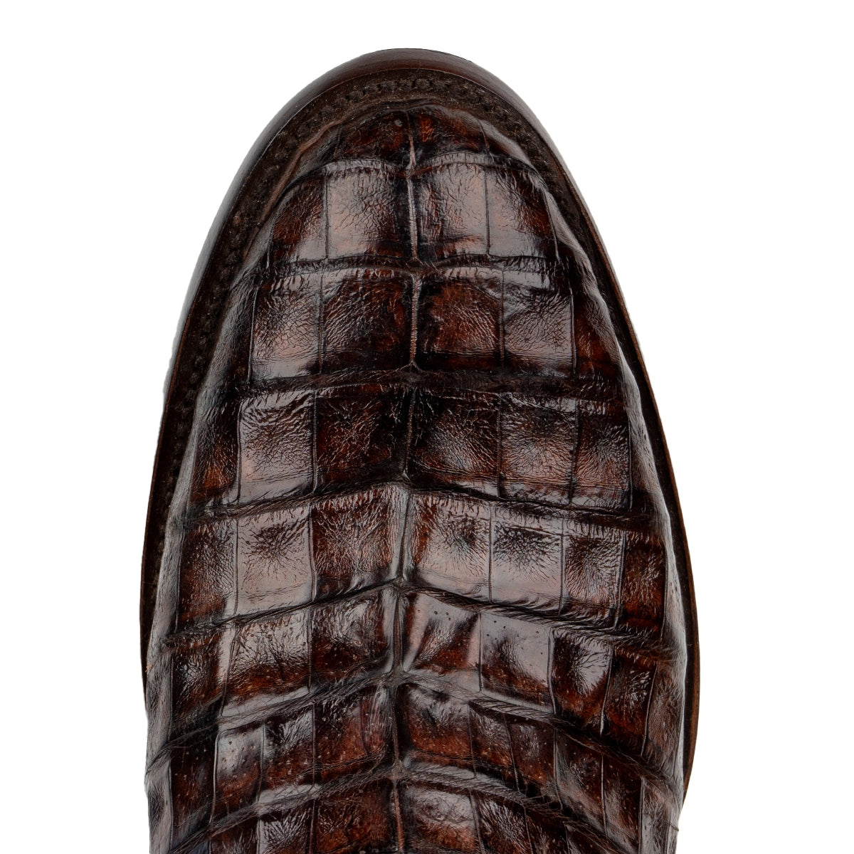 Bota Exótica de Caimán Café Ontario